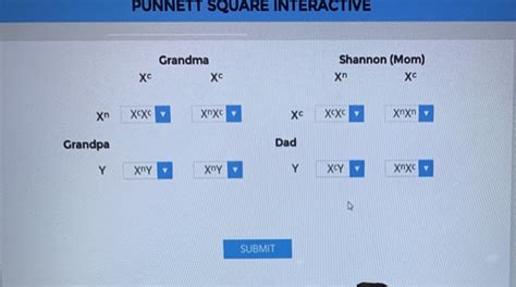 Punnett square interactive - I use this worksheet after the students have a firm grasp on punnett squares.It explains the results that Gregor Mendel got while working with the pea plants on the monastery. This activity supports California State 7th Grade Science Standard 2D - Students know plant and animal cells contain many thousands of different genes and typically have two copies of …